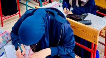 تفاصيل مثيرة.. تعليم القاهرة تعلن عقوبات تصوير امتحانات الدراسات